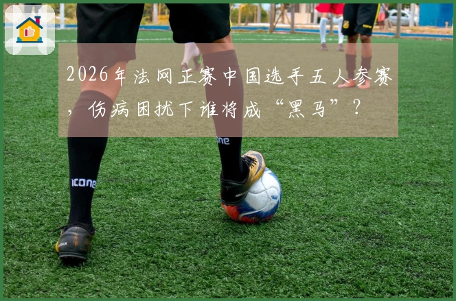 2026年法网正赛中国选手五人参赛，伤病困扰下谁将成“黑马”？