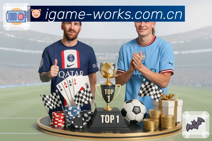 稳定入口登录器